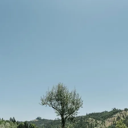 Vieiras Vieira do Minho